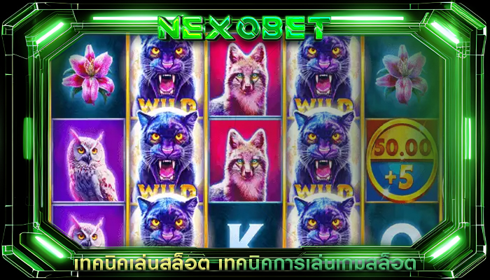 เทคนิคเล่นสล็อต เทคนิคการเล่นเกมสล็อต